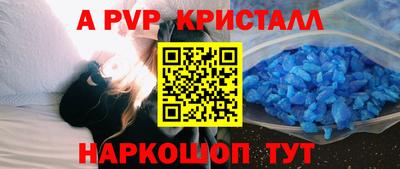 твердый Кингисепп