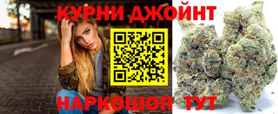 индика Кинель