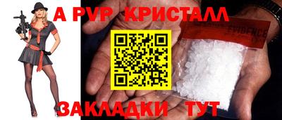 твердый Кингисепп