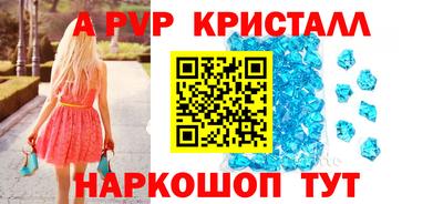 твердый Кингисепп