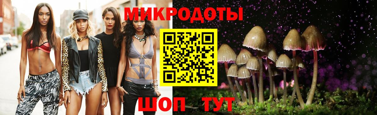 Ивантеевка  Галлюциногенные грибы Psilocybine cubensis  Вход с VPN 